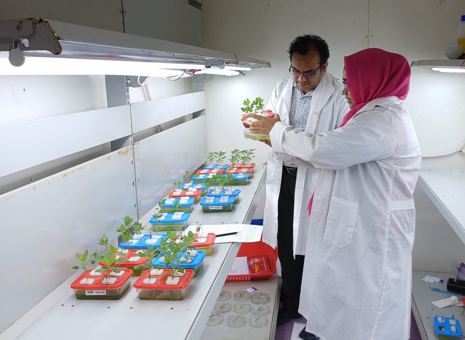 Salinity tolerance screening of Quinoa germplasm in vitro condition