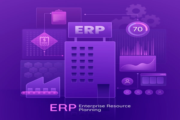 Meeting About ERP Software